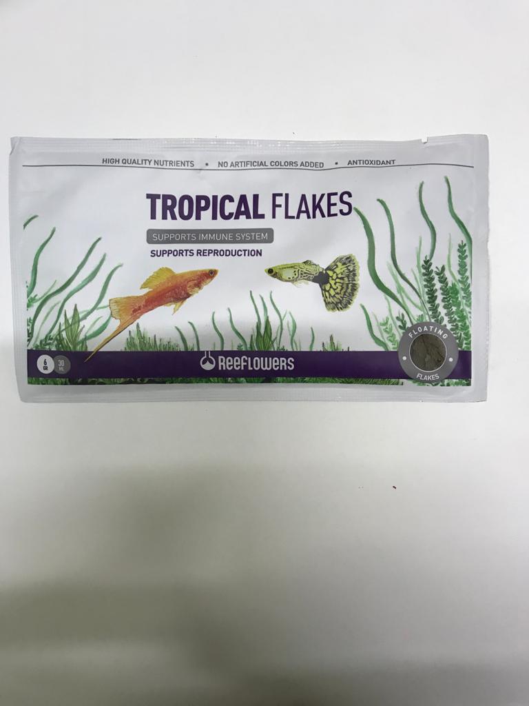 REEF FLOWERS TROPİCAL FLAKES ZARF YEMİ 24 ADET