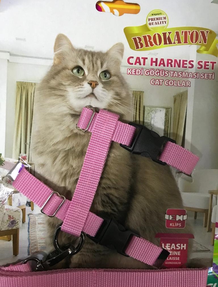 KEDİ GÖGÜS TASMASI BROKATON