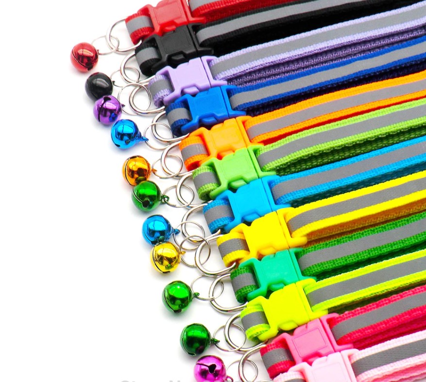 FOSFORLU BOYUN TASMA 6 ADET