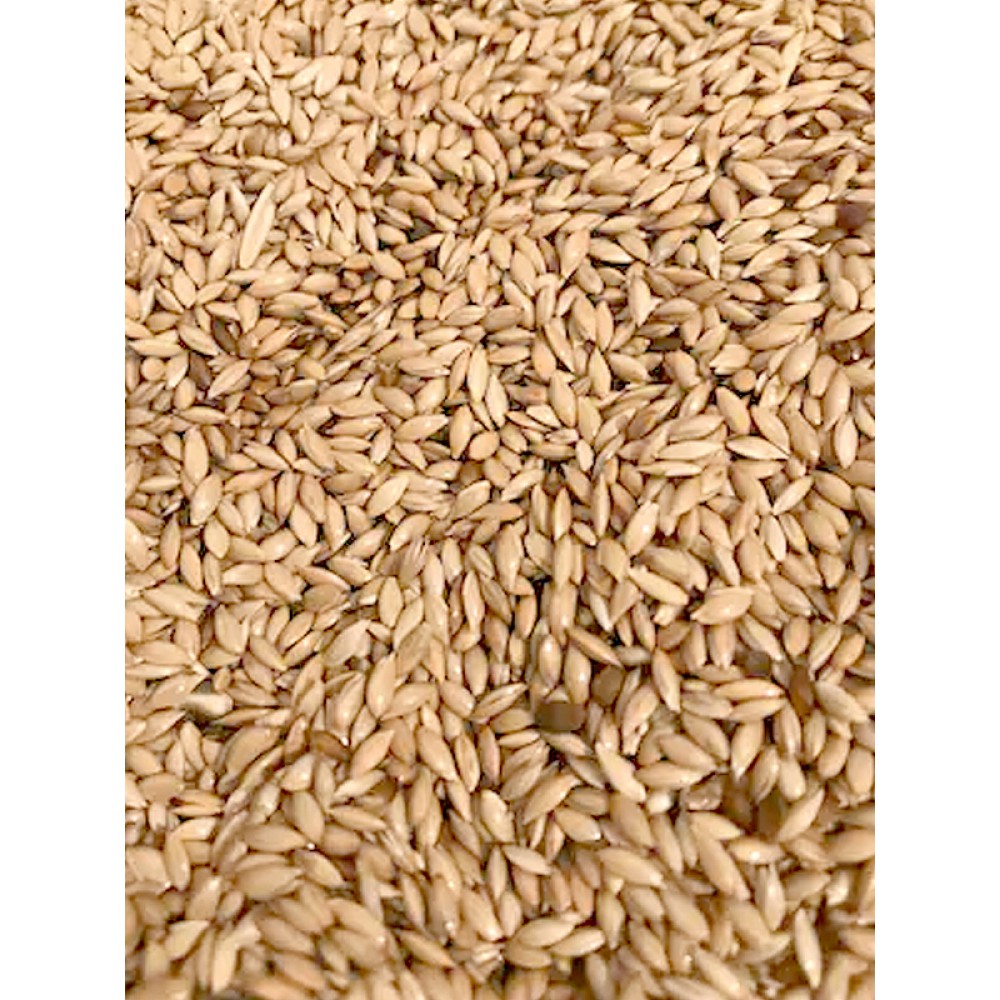 SADE KANARYA YEMİ 20 KG