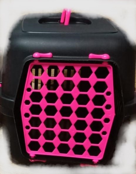 RENKLİ TAŞIMA BAKS