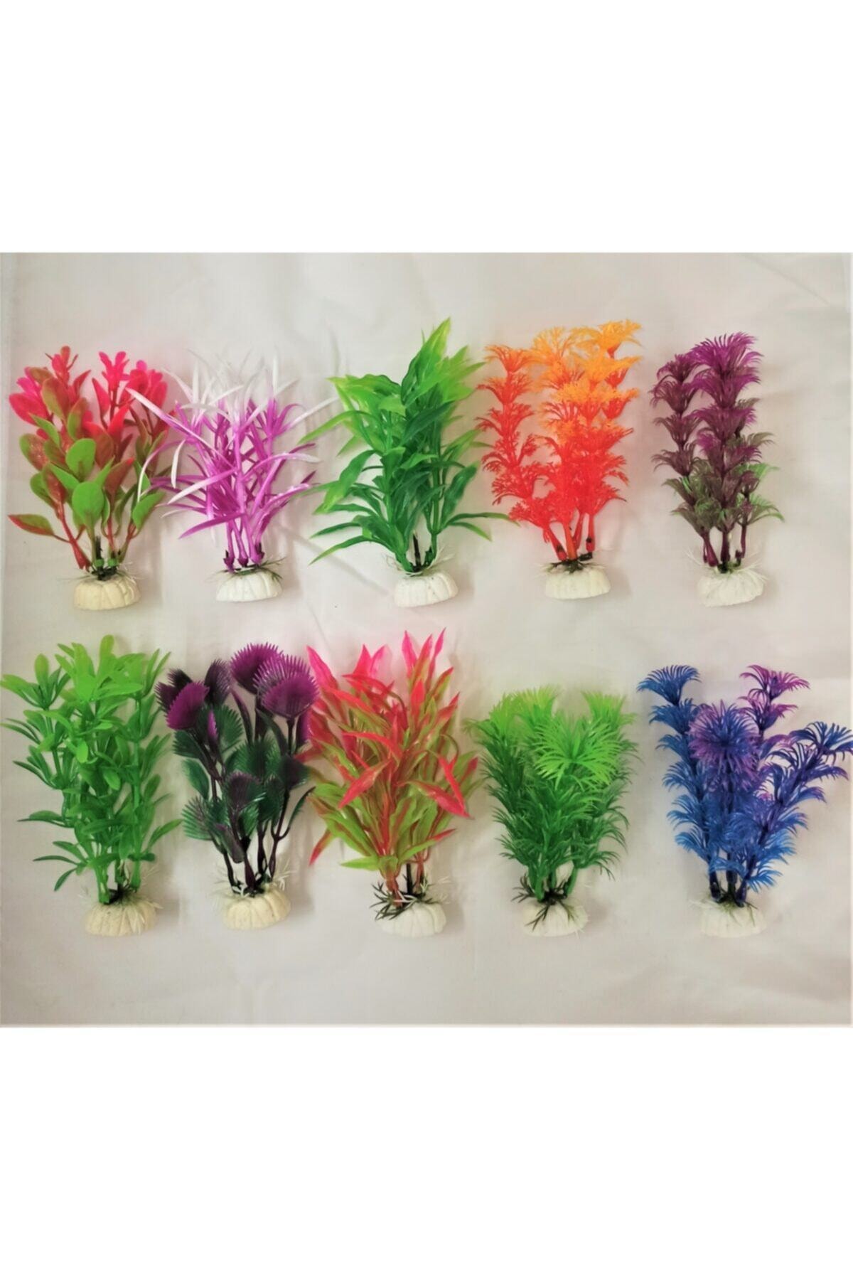 KÜÇÜK RENKLİ BİTKİLER 24 lü