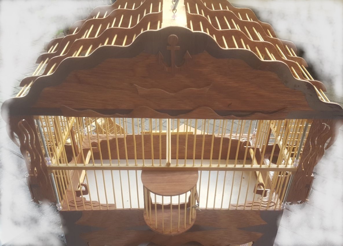 BÜYÜK SAKA KAFESİ