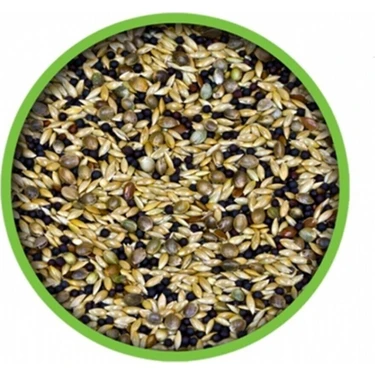 KARIŞIK KANARYA 20 KG (VİVİD)