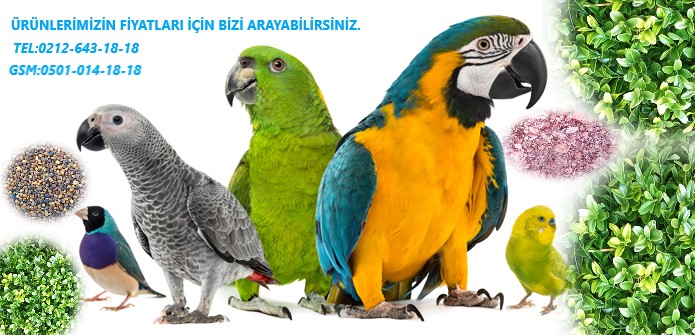 TERMO AKVARYUM promo