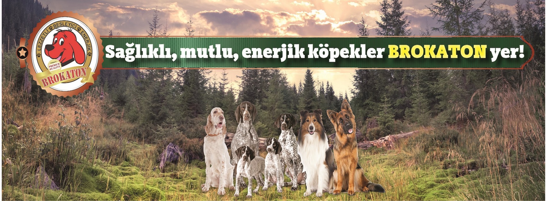 TERMO AKVARYUM promo